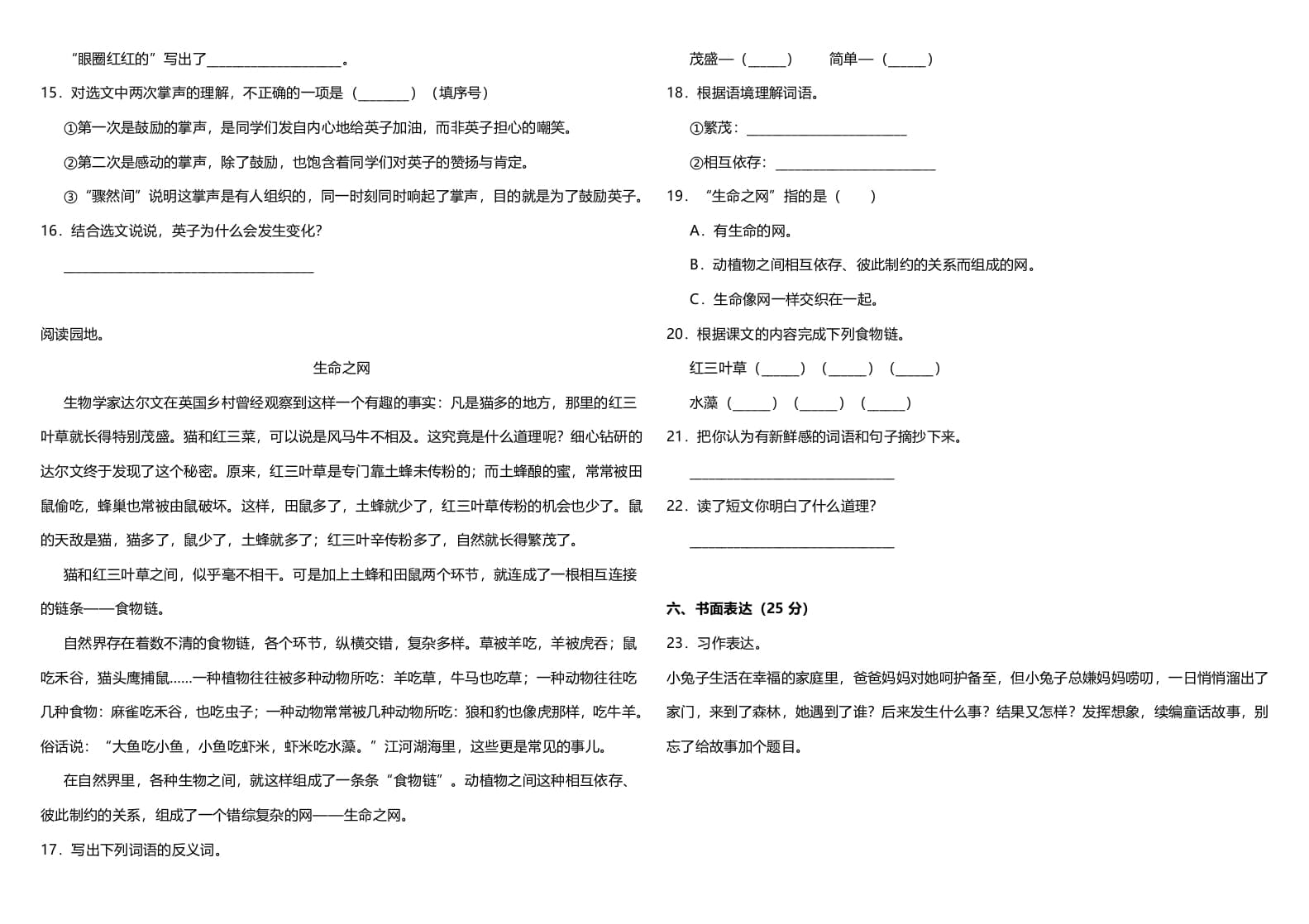 图片[3]-三年级语文上册（期末测试题）版（部编版）-暖阳学科网