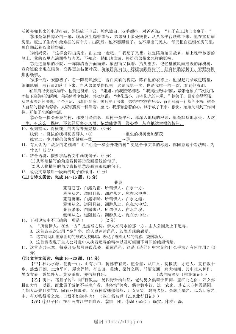 图片[3]-2023-2024学年广西河池市宜州区八年级下学期期中语文试题及答案(Word版)-暖阳学科网