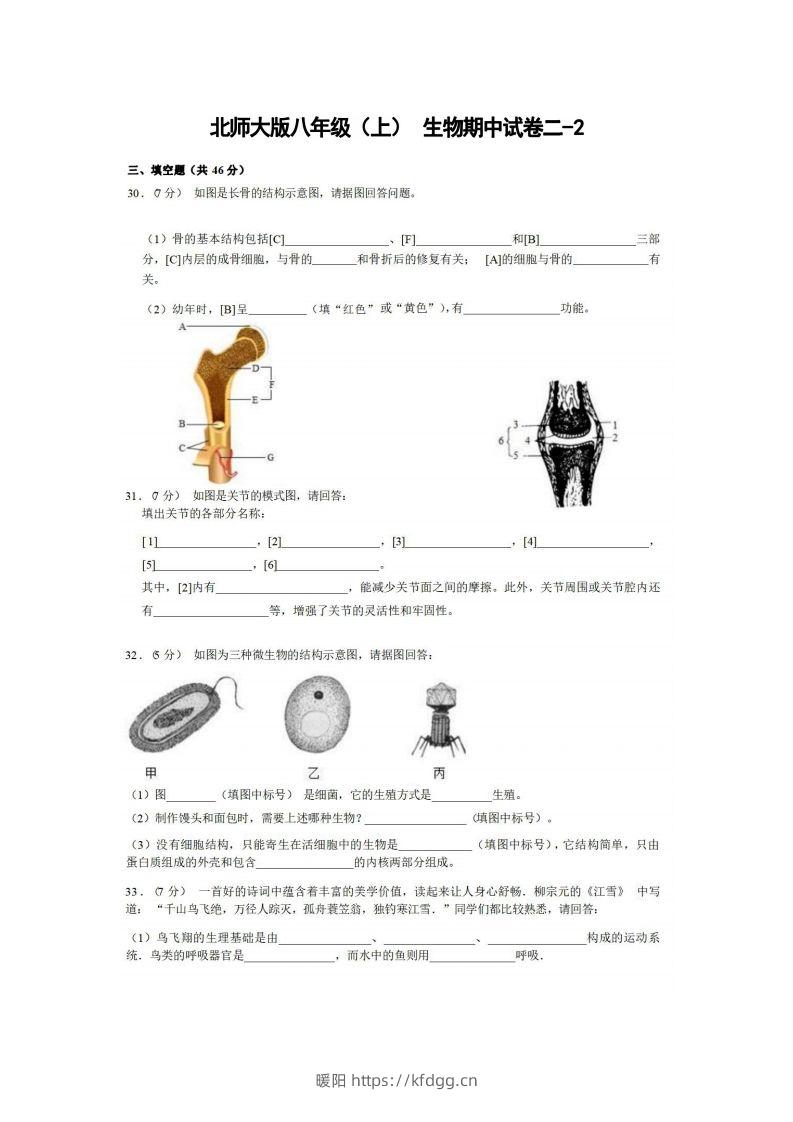 八年级（上）生物期中试卷2-2卷北师大版-暖阳学科网