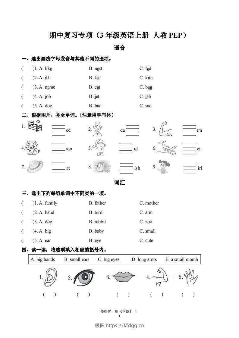 期中复习专项（三上英语人教版）-暖阳学科网