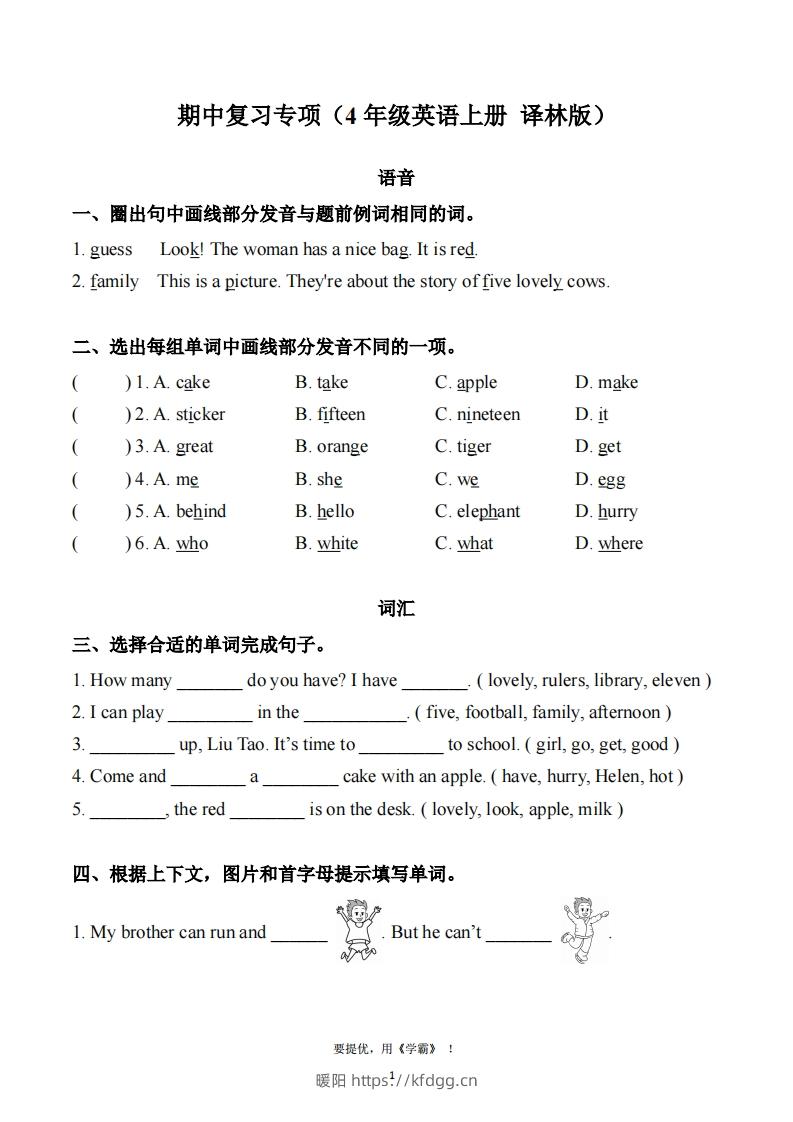 期中复习专项（四上英语译林版）-暖阳学科网