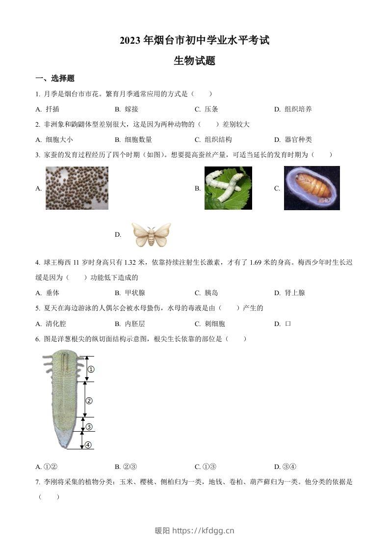 2023年山东省烟台市中考生物真题（空白卷）-暖阳学科网