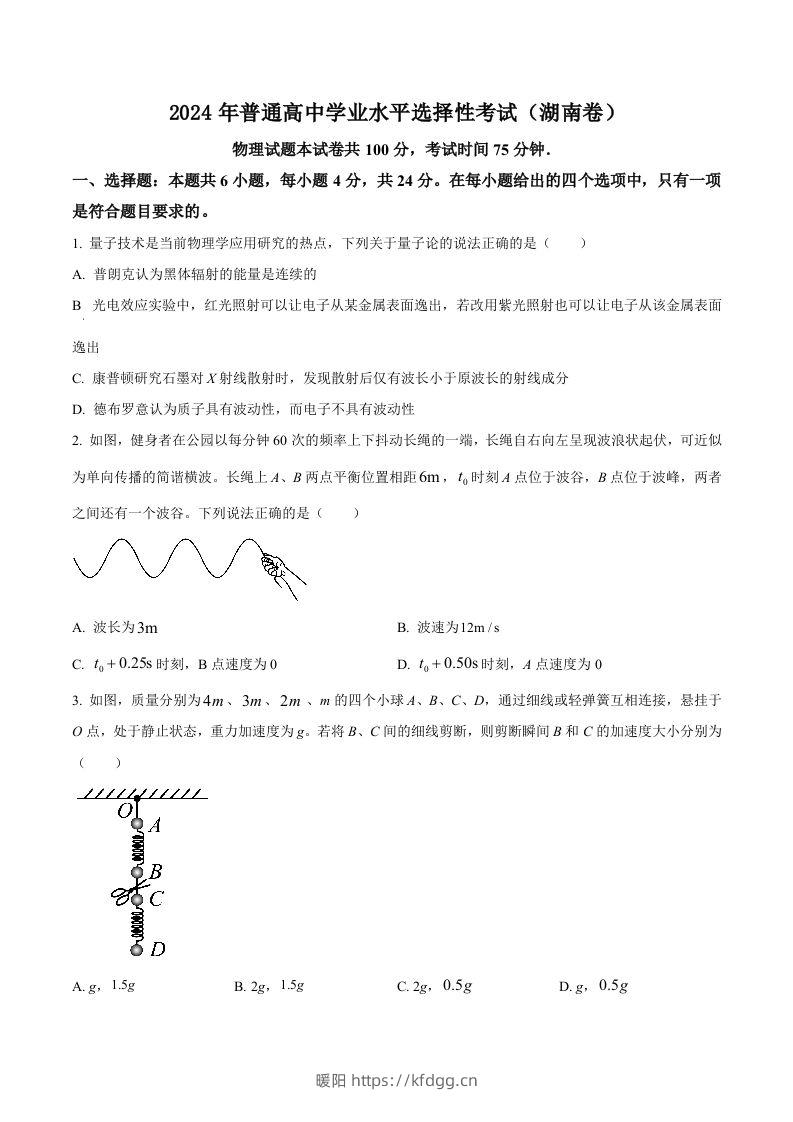 2024年高考物理试卷（湖南）（空白卷）-暖阳学科网