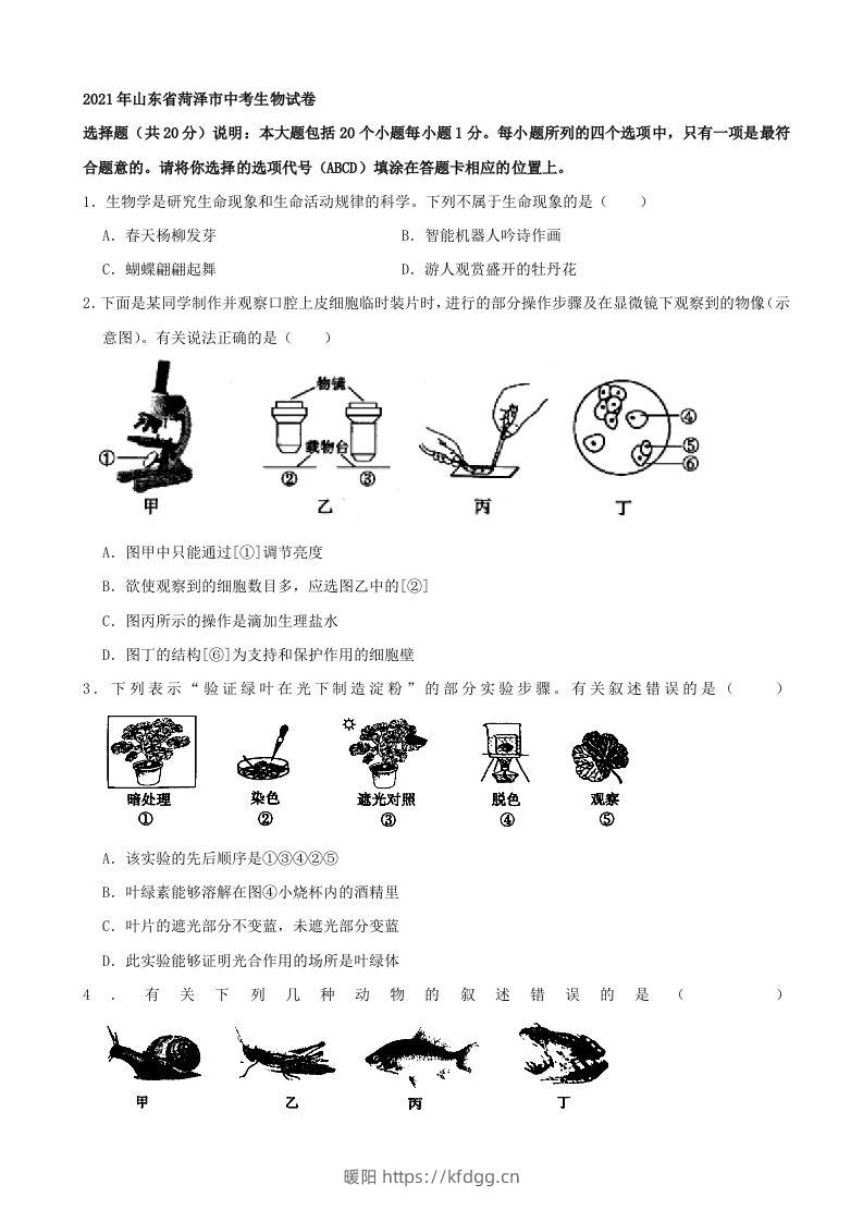 2021年山东省菏泽市中考生物真题（word，含答案）-暖阳学科网