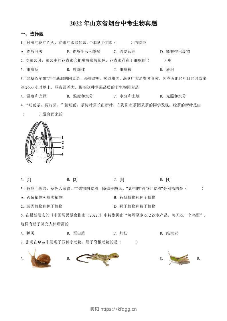 2022年山东省烟台中考生物真题（空白卷）-暖阳学科网